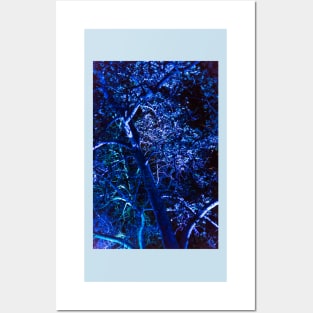 Blue Haunting Posters and Art